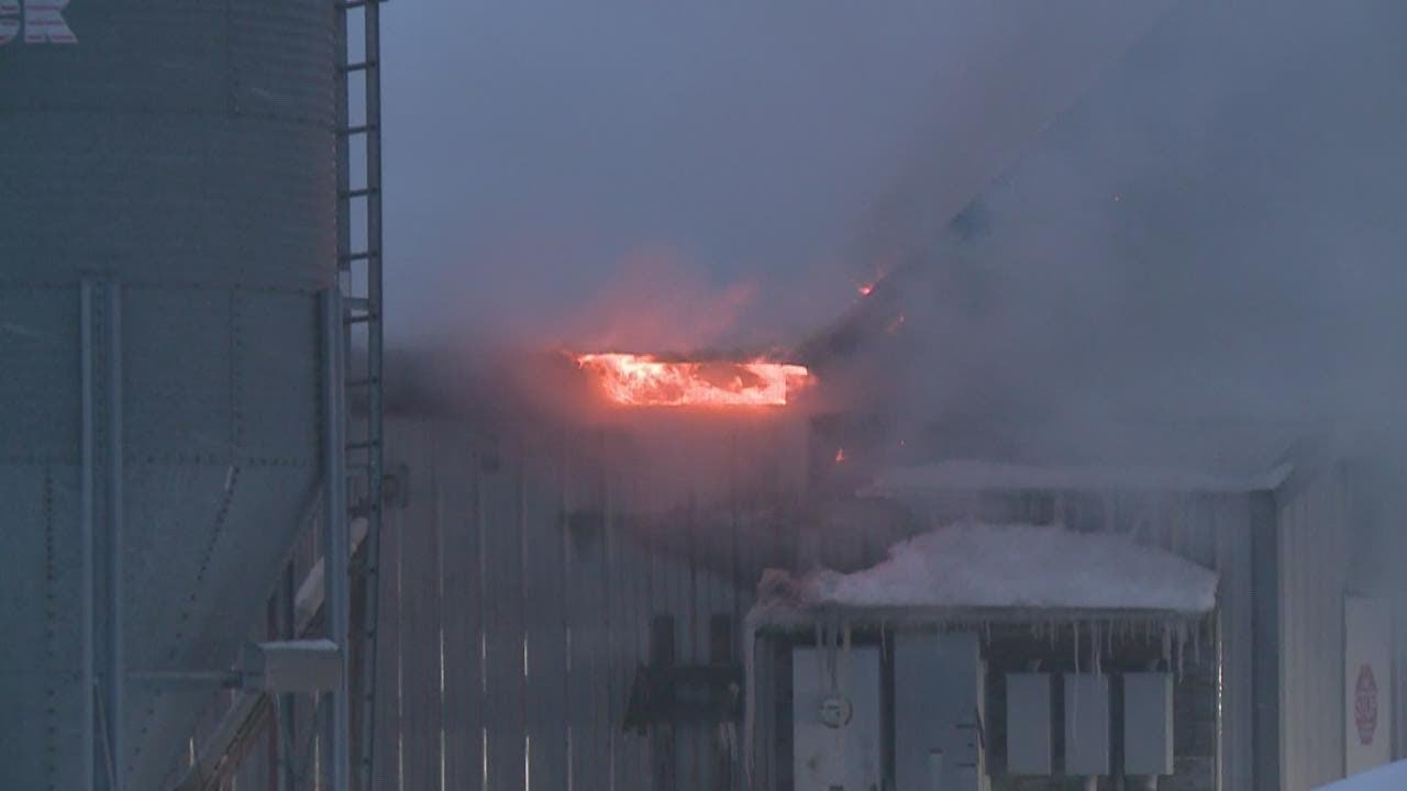 Young turkeys killed in barn fire in Ottawa County