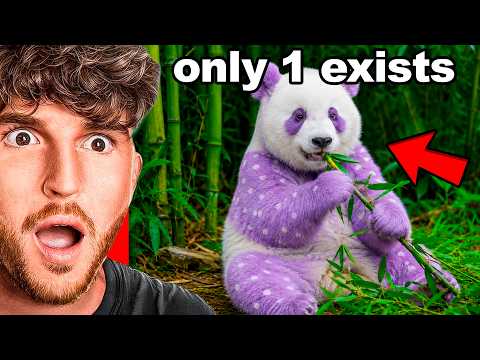 Reacting To The RAREST Animals On Earth!