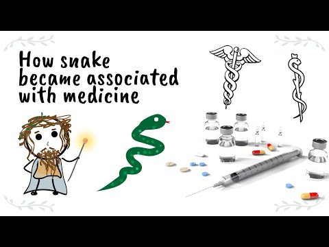Why the symbol for medicine is a snake on a stick