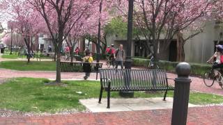 Riding Among Cherry Blossoms at Branch Brook Park