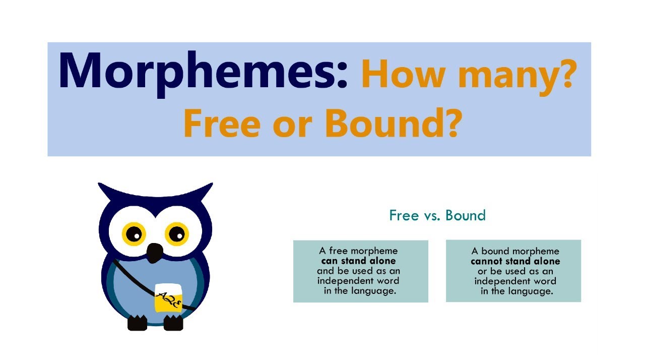 Morphemes: How Many? Free Or Bound?