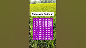 Not easy to four (part 182) #brainteaser #search #find #puzzle