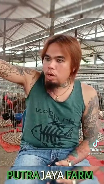 Cara mandikan ayam jalu. menurut bang antoni pjf