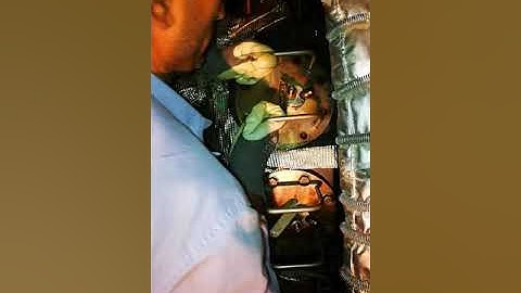 Solar Mars 100 gas turbine fuel injector removed. 4000 hour inspection at basara Iraq.