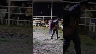 #huapangos #baile #cumbia #envivo #musica #huaynoayacuchano #huapangosperros #bailando #bailes