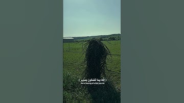 [سورة هود آية ١١٢][  #coran #القرآن_الكريم Sourate houd verset 112]
