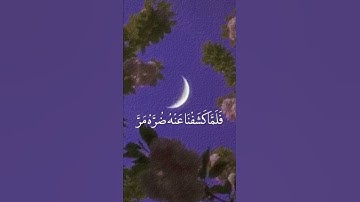 ستوريات دينيه/حالات واتس/قرآن كريم/شريف مصطفى/#quran #قرآن