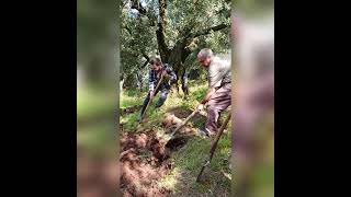 Biz Babadan Öyle Gördük