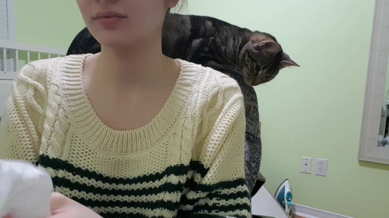 asmr featuring cat who likes to cause trouble YouTube