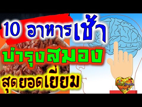 ยา บํา รุ ง สมอง ที่ ดี ที่สุด  2022 New  รู้แบบนี้ รีบทำตามเลย!! 10 อาหารกินตอนเช้า บำรุงสมอง สุดยอดเยี่ยม👍 อาหารมื้อเช้า ดีที่สุด บำรุงสมอง👫