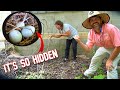 You Won't Believe Who's Sitting On a Secret Nest Of Eggs!!!