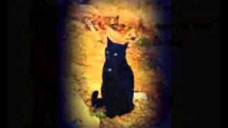 CrowfeatherXLeafpool
