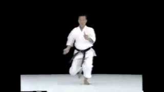 Jitte Shito Ryu