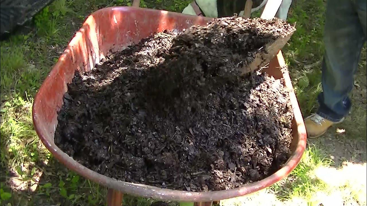 Time to add compost to garden beds, quick compost tutorial .🍅🌶🥒🥦👍 YouTube