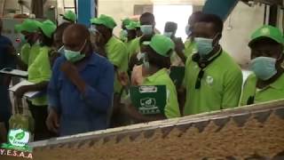 Download Lagu YESAA WORKSHOP AT AKIN SATERU FARMS - FISH FEED PRODUCTION MP3