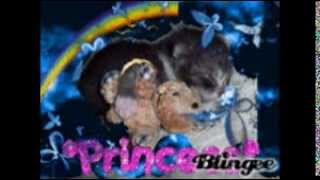 My Blingee Picuter's