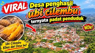 VIRAL ternyata desa penghasil ubi cilembu ini padat penduduk ya