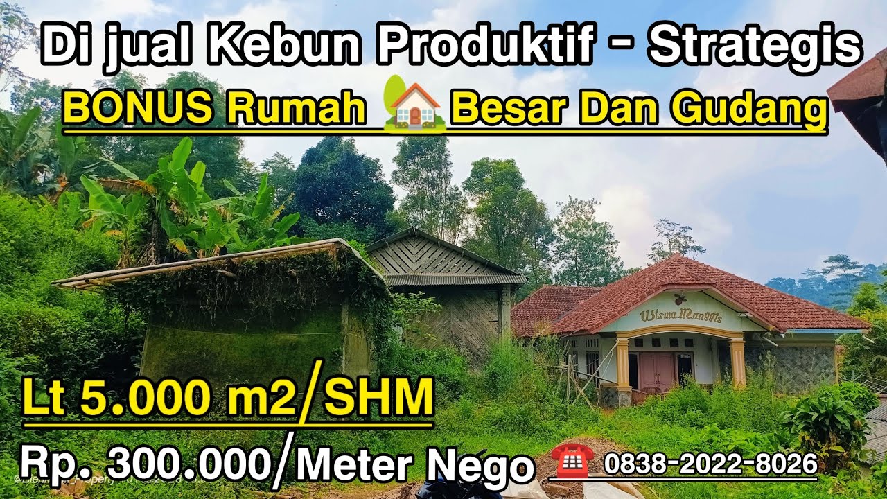 Dijual Kebun Produktif 5.000 m² Bonus Rumah Besar & Gudang – SHM, Pinggir Jalan, Sukamanah Bojong 
