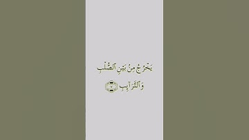 سورة الطارق /للقارئ ماهر_المعيقلي/Maher Al-Muaiqly