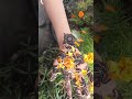🌸flower mehndi design 🌸 simple mehandi,❣️☘️#mehndi #simplemehndi #flowers