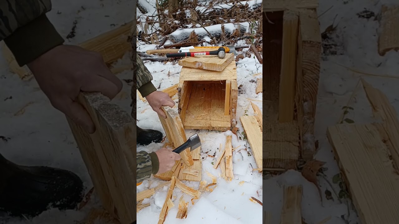 Box trap from Pine Tree