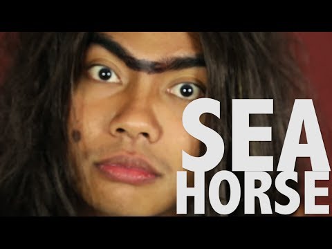 SEA HORSE (DARK HORSE PARODY) SEA HORSE (DARK HORSE PARODY)