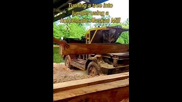 Turning a tree into lumber using a homemade Alaskan Mill #shorts