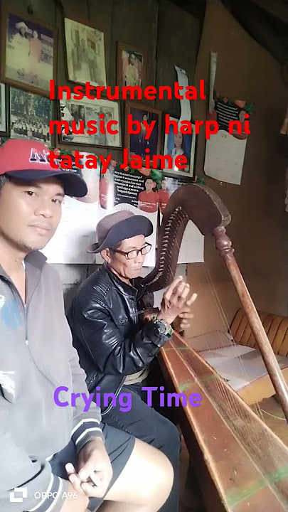 Instrumental music#harpist #viralvideo #viralvideo #everyone #cover