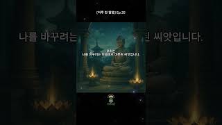 [하루 한 말씀] Ep.35 “깊은 후회가 남을 때 – 부처님의 하루 한 말씀” #하루한말씀 #부처님말씀 #shorts #하말_치유의숲