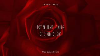 Theo Lucan, Cosmin L. Music - Tot Pe Tine Te Aleg De O Mie De Ori (Official Remix)