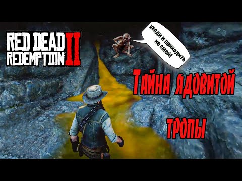 Карта сокровищ ядовитой тропы 1 в рдр 2 на карте