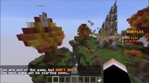 Mineplex - Super Smash Mobs: Fly Hacker