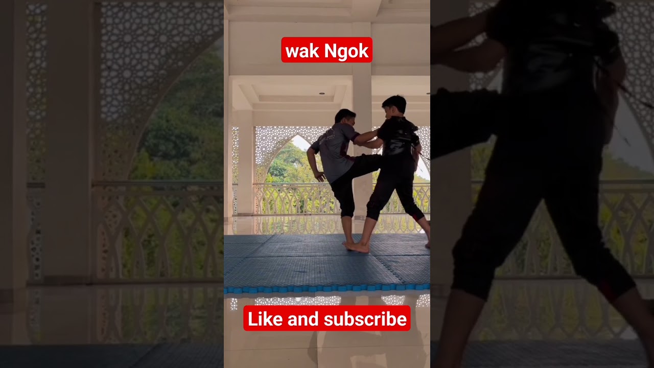 Short 33 : Counter jika kaki di tangkap 