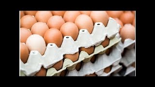 US recalls more than 200 million eggs over salmonella fears