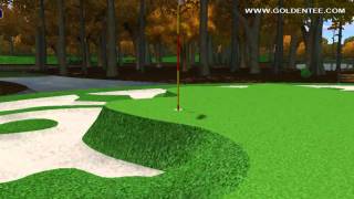 Golden Tee Great Shot on Laurel Park!
