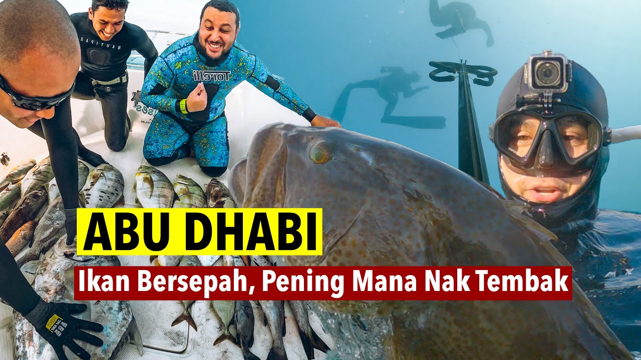 Spearfishing di ABU DHABI ! Trip pecah kapal !