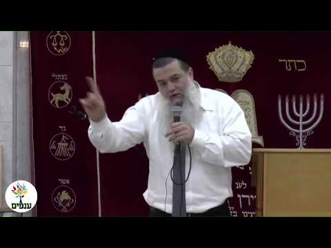 החיים תותים - הרב יגאל כהן HD - הרצליה