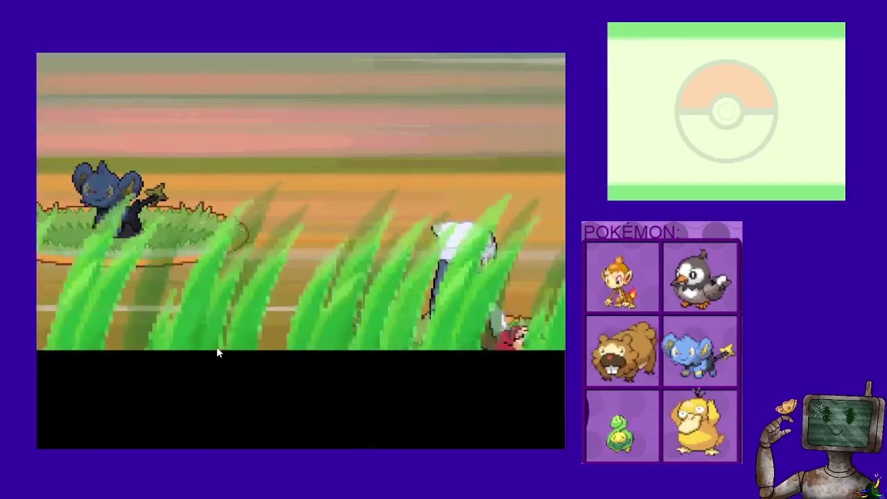 A wild shinx appears?