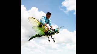 Download Lagu Tutubi / Dragonfly MP3