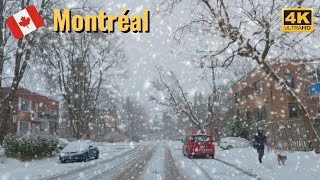 [4K] Heavy Snow Day in Montreal❄️❄️❄️ | Snowy Drive in Côte Saint-Luc #snow #snowfall #montreal screenshot 2