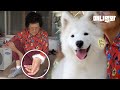 우리 개손주~ 할매 추울까봐 빠진 털로 손목워머 맹근 거 좀 보시랑께요ㅣDog Made A Bracelet With Her Fur And Gave It To His Grandma