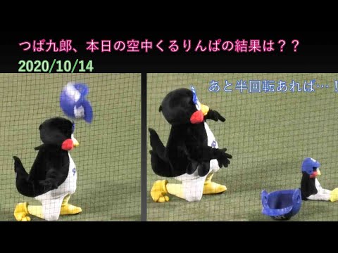 つば九郎、本日の空中くるりんぱの結果は？？ 2020/10/14