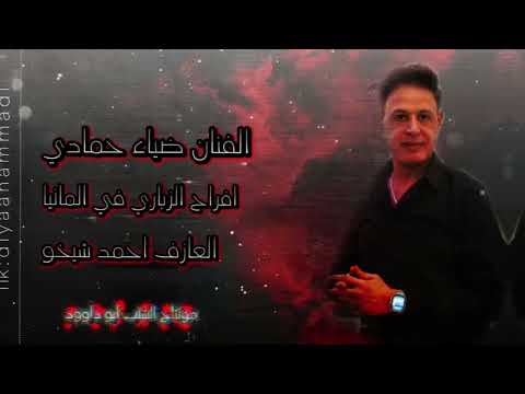 الفنان ضياء حمادي لي شدينه وقمنه بيها الزلم نخليها