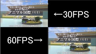 【コメ付き】JAPAN WORLD CUP 3 〜第4レース〜 (30FPS 60FPS比較)