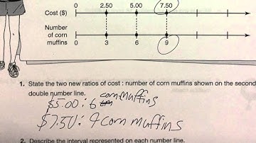 Using a double number line