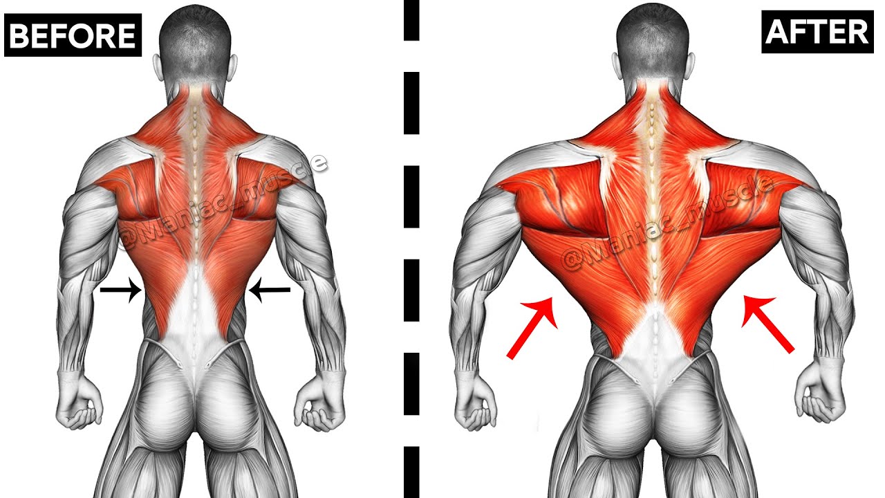 These are the 9 Biggest Back Exercises You Need to Know - YouTube