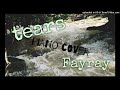 【ピアノカバー】Fayray 「tears」