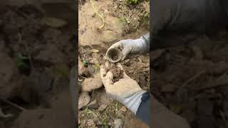 Define Kazısında İlginç Eserler Çıkıyor Treasure Hunt