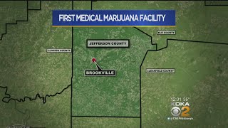 Medical Marijuana Grower Gets Green Light In Pennsylvania