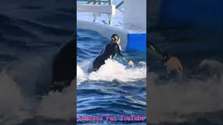 ララとお茶目なトレーナーさんのパワフルお尻リフト♥ #Shorts #鴨川シーワールド #シャチ #kamogawaseaworld #orca #killerwhale